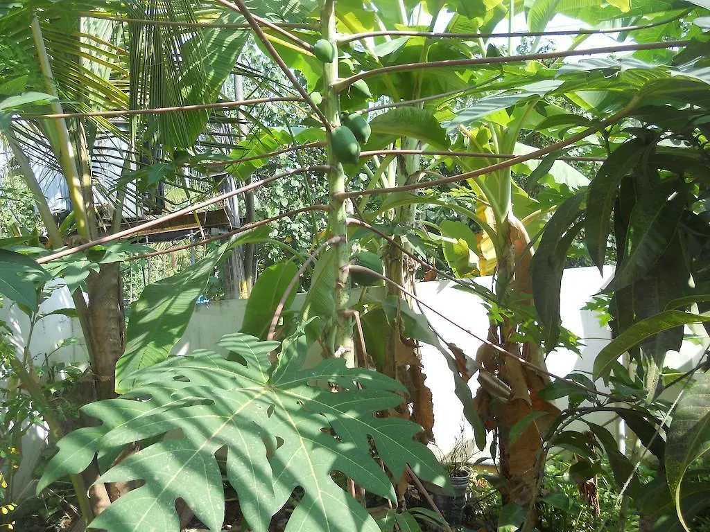 Séjour chez l'habitant Appartement Palakal Residency à Kochi